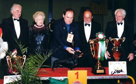 WCH Grandgables Dream Come True -  Champion Show Budapest 2001  - Dog of the Year 2001,  Best in Show 